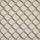 Stanton Carpet: Aspire Network Dove